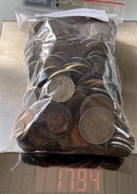 Udland: ca 1,7 kg assorterede udenlandske mønter